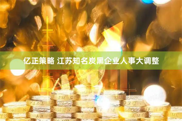 亿正策略 江苏知名炭黑企业人事大调整