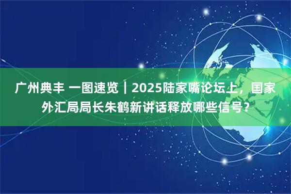 广州典丰 一图速览｜2025陆家嘴论坛上，国家外汇局局长朱鹤新讲话释放哪些信号？