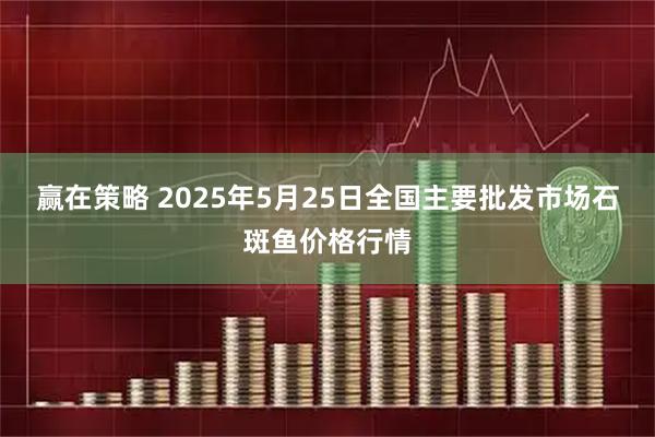 赢在策略 2025年5月25日全国主要批发市场石斑鱼价格行情